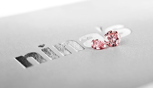 Book Consultation Book Consultation